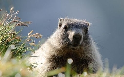 Abenteuer Wildnis