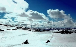 Versteckte Paradiese: Der Steinwald