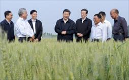 Wer ist Xi Jinping?