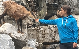 Anna und die wilden Tiere