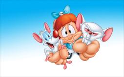 Pinky, Elmyra und der Brain