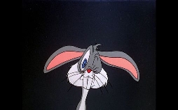Mein Name ist Hase