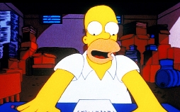 Die Simpsons