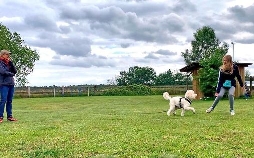 Liebste Fellnasen - Abenteuer Hundeschule | TV-Programm von WDR