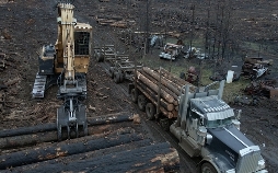 Mud Mountain Truckers