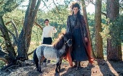 Prinz Himmelblau und Fee Lupine