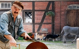 Die Bremer Stadtmusikanten