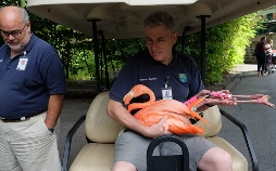 Bronx Zoo - Tierpark der Superlative