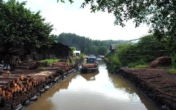 mareTV