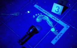 Medical Detectives - Geheimnisse der Gerichtsmedizin