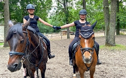 #WIR - Freundschaft grenzenlos
