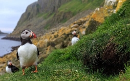 Tierische Superbauten