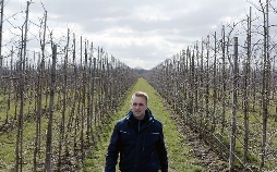 Apfelwiesen und Wildnis - Das Alte Land an der Elbe