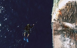 Golf von Kalifornien