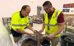 Achtung, Zoll! Willkommen in Australien