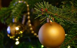 Ein Weihnachtsbaum für Zwei