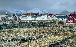 Unterwegs im hohen Norden