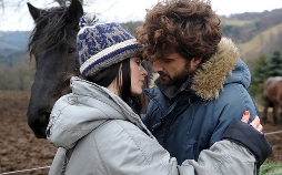 Weihnachten für Einsteiger