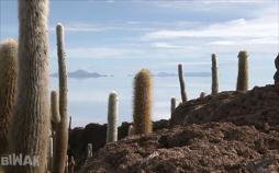 Traumtouren durch Bolivien - Biwak nonstop