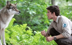 Der Ranger - Paradies Heimat