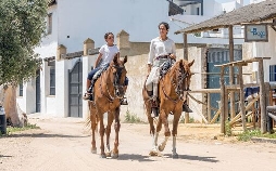 Die wilden Pferde der Doñana