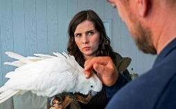 Tatort