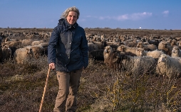 Sylt - Wellen, Wind und Watt