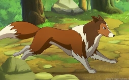 Lassie