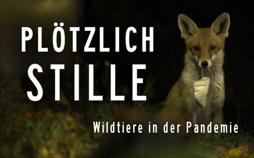 Plötzlich Stille: Wildtiere in der Pandemie