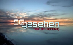 So gesehen - Talk am Sonntag