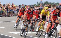 Radsport: Dwars Door Vlaanderen