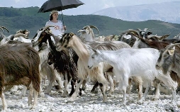 Raue Welten - Wilde Schönheiten