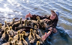 Der Junge und die Wildgänse