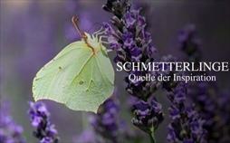 Schmetterlinge - Quelle der Inspiration