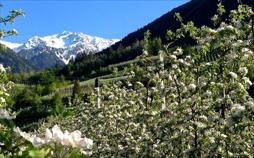 Südtirol - Der Vinschgau