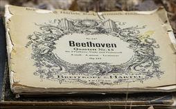 Ode an Beethoven: Europa feiert die Neunte
