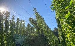 Landgasthäuser Bierschmankerl
