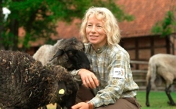 Seelöwe & Co. - tierisch beliebt