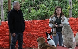 Cesar Millan: Better Human Better Dog - Bessere Menschen, bessere Hunde
