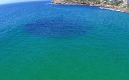 Bondi Beach - Die Rettungsschwimmer von Sydney