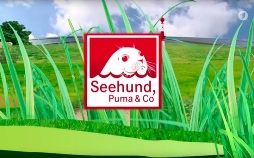 Seehund, Puma & Co.