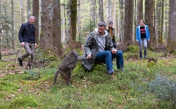 Tiere bis unters Dach