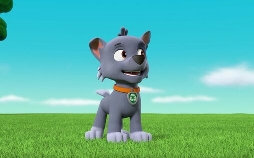 Paw Patrol