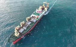 Auf Fangfahrt - Der Hochseetrawler