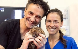 Der Super-Doc - Einsatz für 4 Pfoten