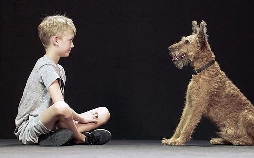 Hund und Mensch: Das Geheimnis einer Freundschaft