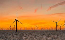 Windparks im Meer - Chance oder Risiko für die Natur?