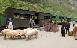 Länder - Menschen - Abenteuer