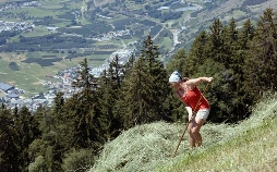 Bergbäuerinnen in Südtirol - Der Weg zum Ziel