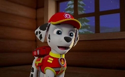 Paw Patrol